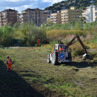 Andora, iniziata la pulizia del torrente Merula