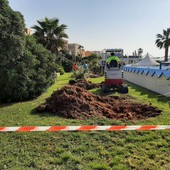 Manutenzione straordinaria del verde ad Albissola, verranno riqualificate le aiuole e piantumati nuovi alberi (FOTO)