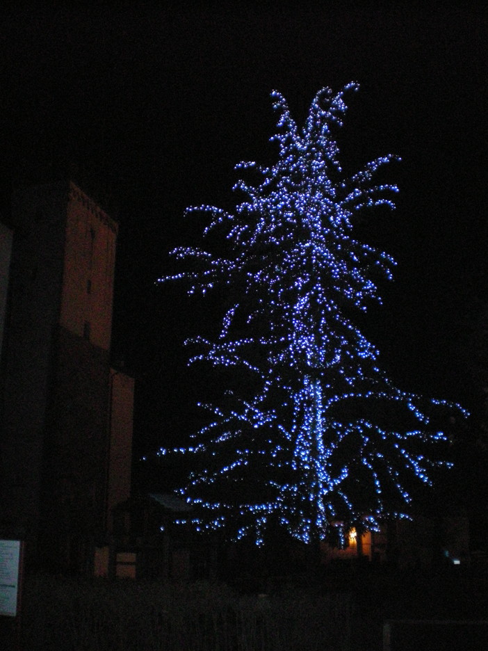 Millesimo: torna l'antica tradizione dell'Albero di Natale in piazza IV Novembre