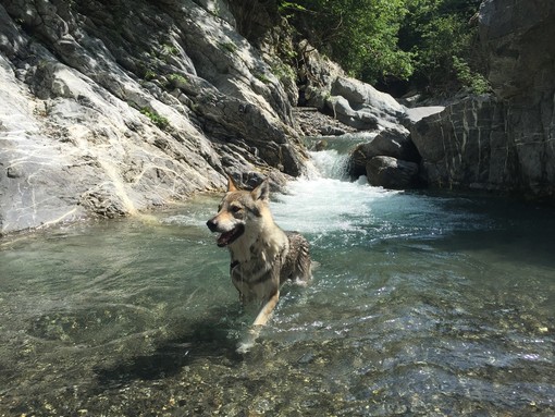 Ormea a Luglio, gli eventi