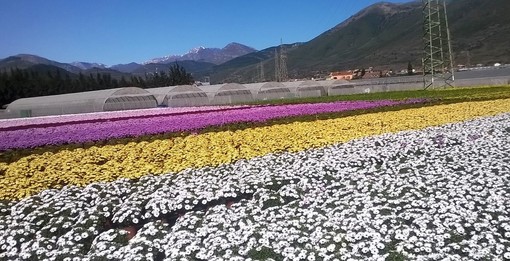 Nella sala San Carlo la conferenza &quot;Passato e Presente della Floricoltura Albenganese&quot;