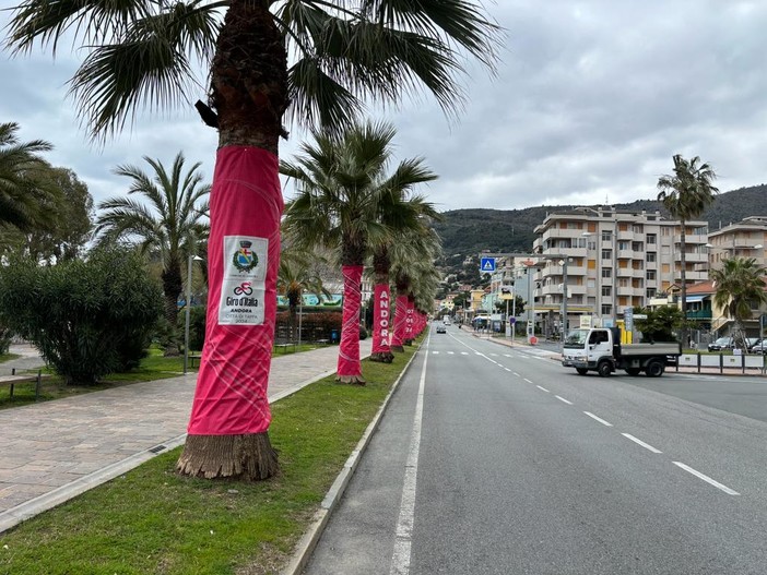 Milano-Sanremo, Andora è pronta ad accoglierla con le palme vestite di rosa