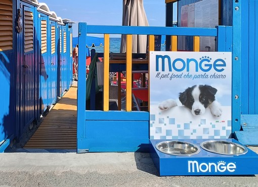 Alassio: alcune spiagge diventano Pet-Friendly per i cani di piccola taglia