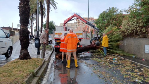 Albenga: tromba d’aria, grandine e piogge violente. Il sindaco: “Faremo il possibile per ottenere risarcimenti per chi è stato danneggiato” (FOTO)