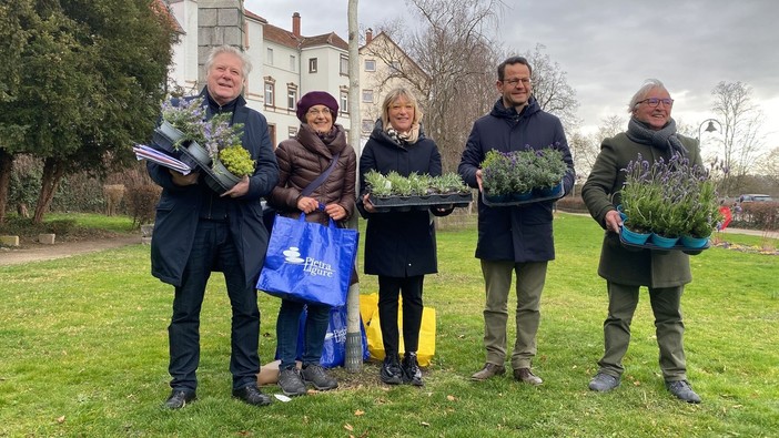 Pietra Ligure e Offenburg festeggiano 15 anni di gemellaggio con 1.500 piantine di lavanda “Petrae”