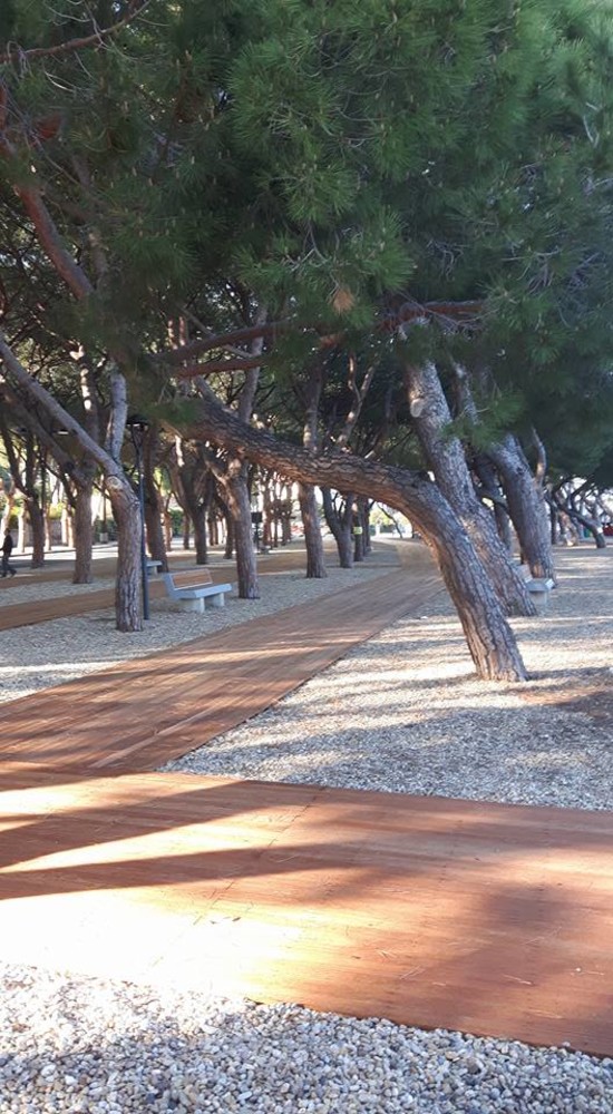 La storica pineta di Ceriale torna ai cerialesi più bella che mai