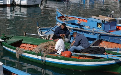 Pesca all'anguilla: il via dalla Regione al prelievo