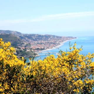 Comincia la primavera dopo uno degli inverni più caldi di sempre, l'allarme di Coldiretti