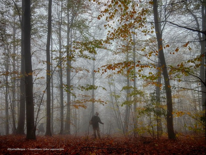 #ScattailBeigua: gli scatti vincitori più belli d'autunno