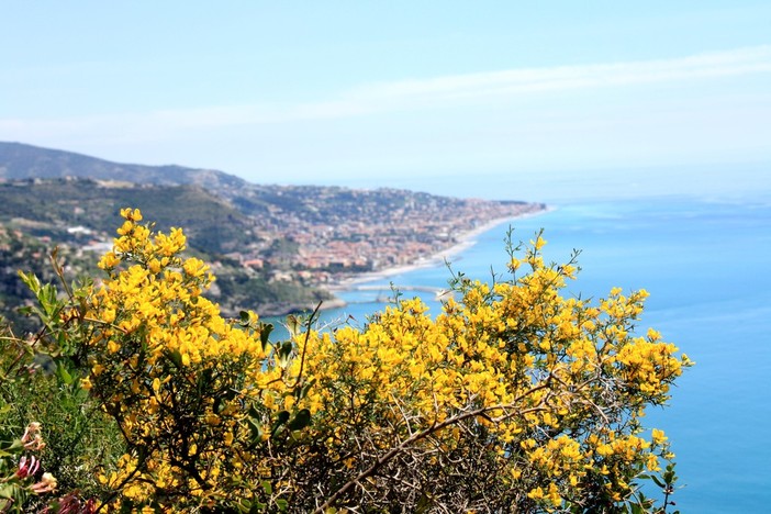 Comincia la primavera dopo uno degli inverni più caldi di sempre, l'allarme di Coldiretti