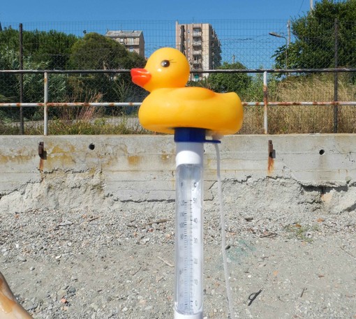 I nostri pesci crepano di caldo. Ma la temibile Lella, la paperella-termometro, è pronta a vendicarli... (32°C)