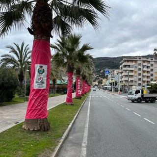 Milano-Sanremo, Andora è pronta ad accoglierla con le palme vestite di rosa