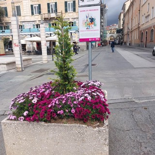 Pedonalizzazioni a Savona, commercianti e cittadini incontrano tre consiglieri di maggioranza: &quot;L'unica soluzione sarebbe la riapertura di almeno le principali vie chiuse&quot;