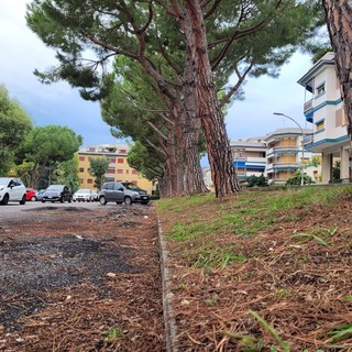 Loano: interventi in via Petrarca, al parco Don Leone Grossi e in piazza Antonio da Noli. Al via la sostituzione di 15 alberi malati