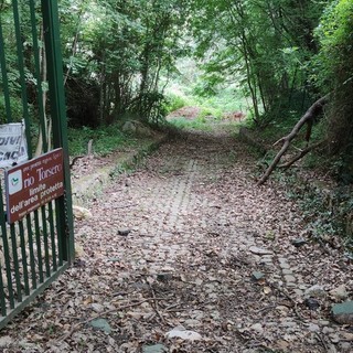 Ceriale, “Piano per la riserva naturale del Rio Torsero”: c’è l’ok del Consiglio comunale