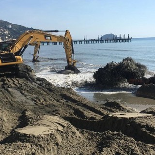 Al via ad Alassio il ripascimento stagionale dell'arenile