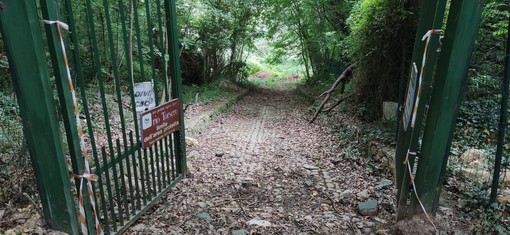 Ceriale, “Piano per la riserva naturale del Rio Torsero”: c’è l’ok del Consiglio comunale