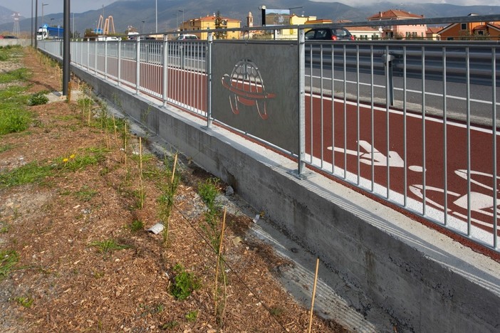 Ad Albenga inaugurato l'intervento di forestazione grazie ad Arca Fondi SGR e Gruppo BPER