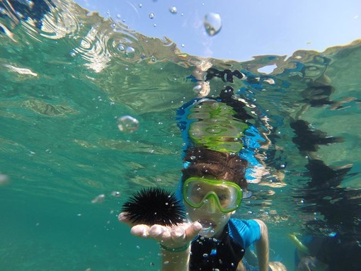 Pietra Ligure, al via sulle spiagge libere attrezzate di levante il progetto “Mare per tutti – Tutti per mare”