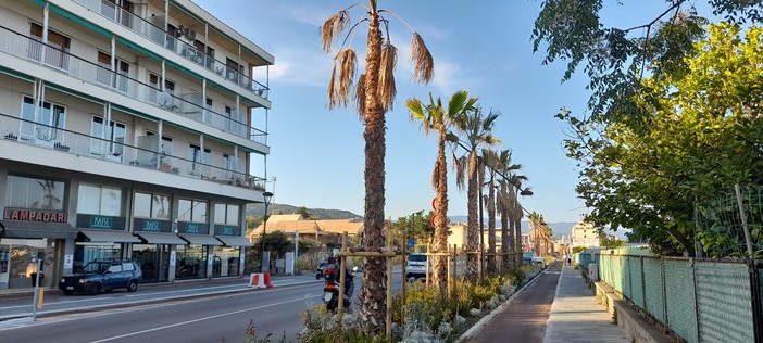 Savona, tentano di rubarle la borsa sull'auto mentre era ferma al semaforo ma aveva le portiere bloccate