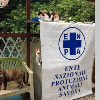 Savona, taglio del nastro per la nuova struttura Enpa. L'Osservatorio Animalista: &quot;Inaugurazione impropria, non ci sarà chi l'ha voluta e realizzata&quot;