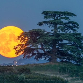 Luna piena nelle Langhe foto di Valerio Minato