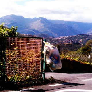 Finale Ligure Viva: &quot;Da ripensare completamente il sistema di raccolta differenziata a San Bernardino&quot;