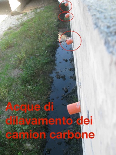 Torrente Segno: le anatre festeggiano il periodico dilavamento di acqua e carbone