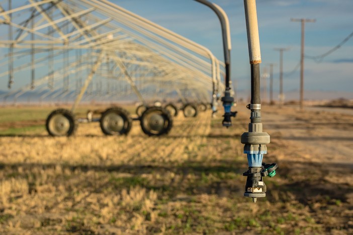 Siccità, maltempo e aumento dei costi di energia e materie prime: agricoltura e allevamenti in ginocchio