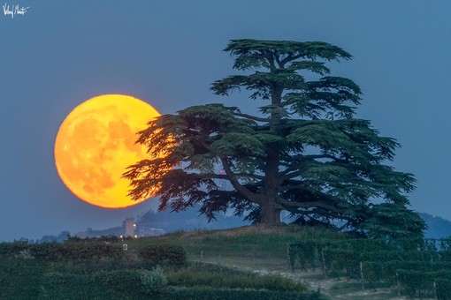 Luna piena nelle Langhe foto di Valerio Minato
