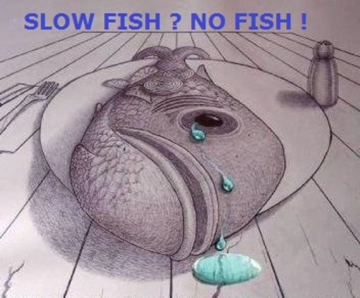 La Protezione Animali savonese: &quot;SlowFish? No Fish&quot;