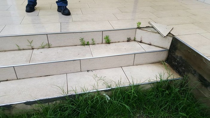 Scuole di Campochiesa d'Albenga, la rabbia dei genitori: &quot;Il giardino resta pericoloso&quot;