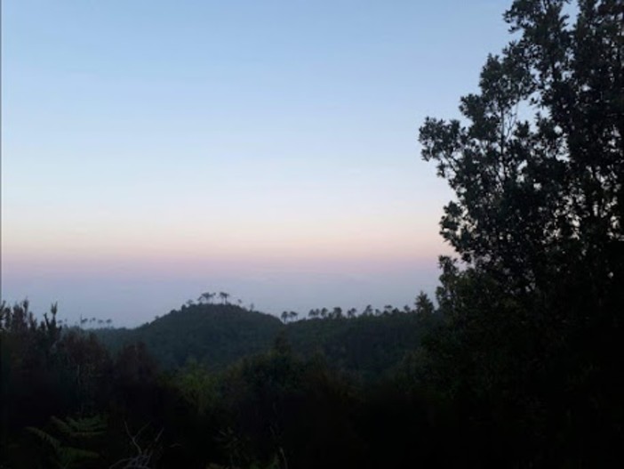 Passeggiando al chiaro di luna lungo il Sentiero Liguria