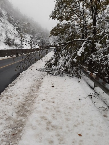 Anas, al lavoro uomini e mezzi per fronteggiare l’emergenza neve