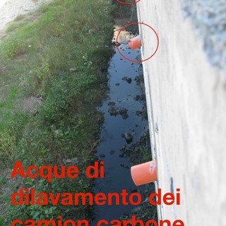 Torrente Segno: le anatre festeggiano il periodico dilavamento di acqua e carbone