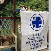 Savona, taglio del nastro per la nuova struttura Enpa. L'Osservatorio Animalista: &quot;Inaugurazione impropria, non ci sarà chi l'ha voluta e realizzata&quot;