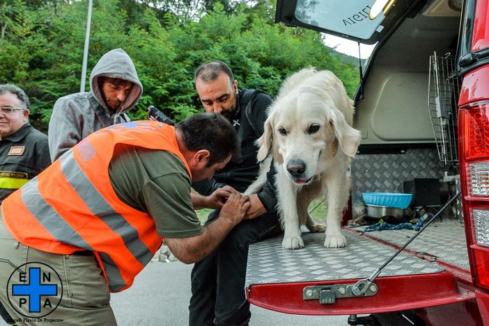 Terremoto, centinaia gli animali soccorsi da Enpa