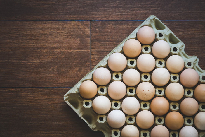 Bloccata produzione e commercializzazione uova di un allevamento savonese, Asl 2: &quot;Quantità Fipronil molto al di sotto della soglia di tossicità&quot;