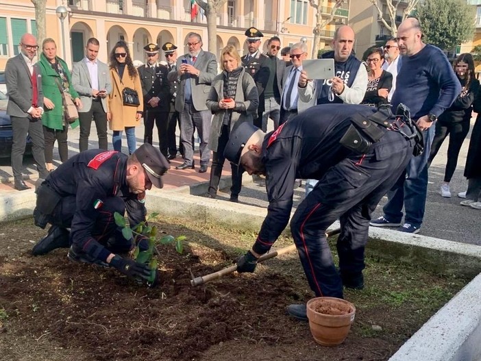 Loano, piantato nel giardino del &quot;Falcone&quot; l'albero dedicato al giudice antimafia (FOTO)