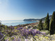 I Giardini di Villa della Pergola entrano nella Royal Horticultural Society