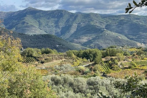 Green community, Valle Impero e Valle Arroscia unite per un progetto di sviluppo sostenibile