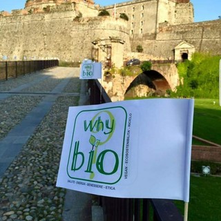 &quot;Whybio?&quot; a Savona, le novità della nona edizione: viaggi olfattivi, immersive room, yoga e conferenze