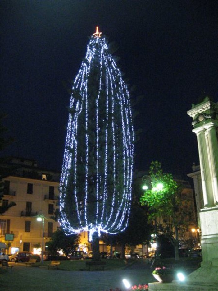 &quot;Un Albero permanente in ogni Piazza, da addobbare per il Natale&quot;: la proposta del WWF Savona