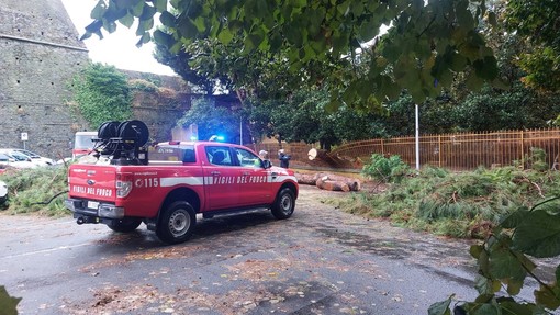 Maltempo nel savonese: un albero caduto, frane, allagamenti e un incidente. Vigili del fuoco senza tregua