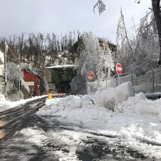 Provincia: avviato il primo tavolo tecnico su Viabilità ed Ecologia