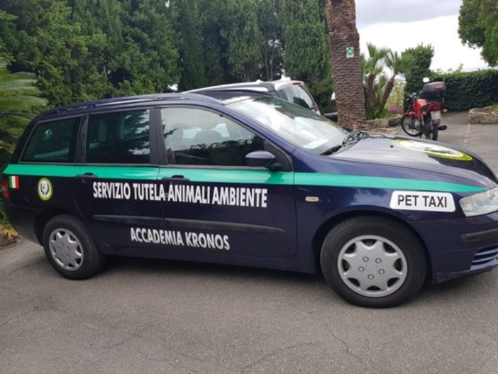 Circo a Savona, l'Accademia Kronos: &quot;Chiediamo al sindaco di vietare tramite ordinanza l'utilizzo degli animali in spettacoli viaggianti&quot;