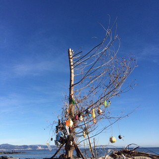 Albenga: dai rifiuti sulla spiaggia nasce un Albero di Natale