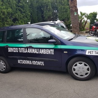 Circo a Savona, l'Accademia Kronos: &quot;Chiediamo al sindaco di vietare tramite ordinanza l'utilizzo degli animali in spettacoli viaggianti&quot;