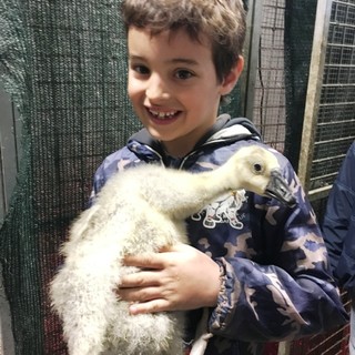 Savona, i bambini visitano la sede della Protezione Animali