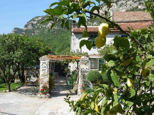 Agriturist e Confagricoltura Liguria: buono il bilancio della stagione estiva che va a chiudersi